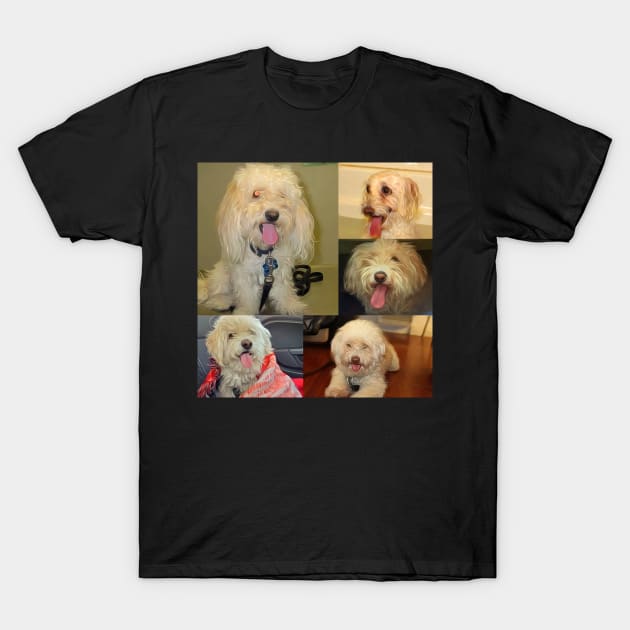 Shaggy Collage T-Shirt by BushidoProductions